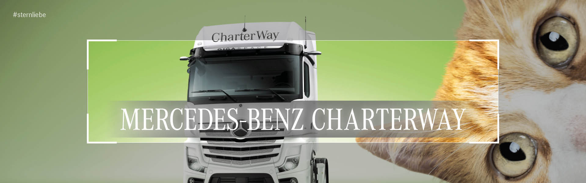Banner-CharterWay Mercedes Benz Mieten Kaufen verkaufen